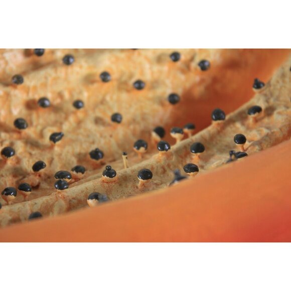 Large Mexico terra cotta papaya, oversized decorative clay fruit, signed Mexican - Picture 3 of 10